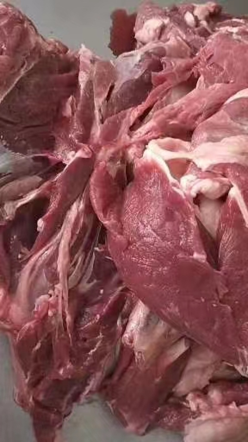 羊肉，羊后腿肉，带皮羊肉有感兴趣的老板欢迎光临！