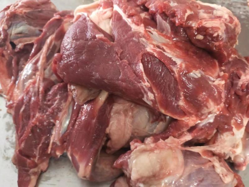 羊肉，羊后腿肉，带皮羊肉有感兴趣的老板欢迎光临！