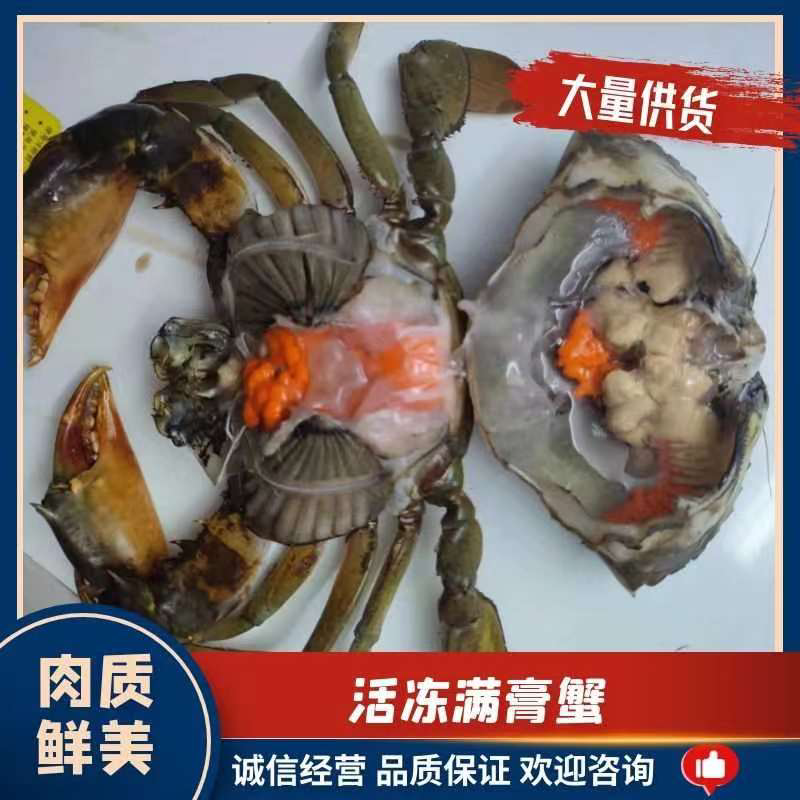 一手精品活冻满膏蟹冻膏蟹，低价清仓，欢迎抢购