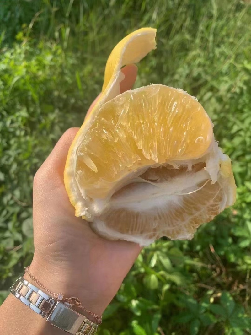 爆汁金球葡萄柚，爆汁水果，葡萄柚，高端大气