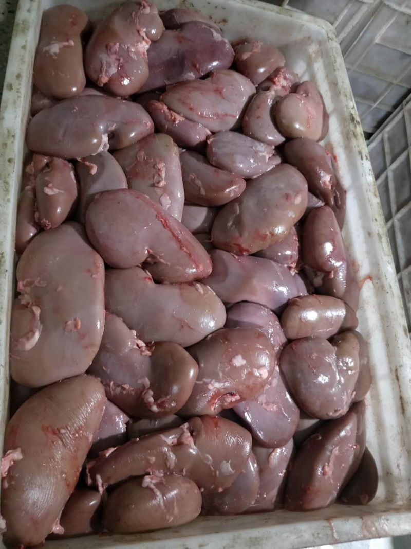 鲜品猪腰