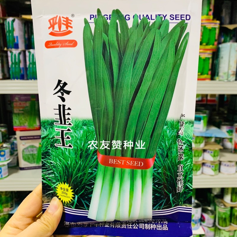 平丰韭菜种子冬韭韭菜种子春季早发冬季回秧早宽叶韭菜种籽