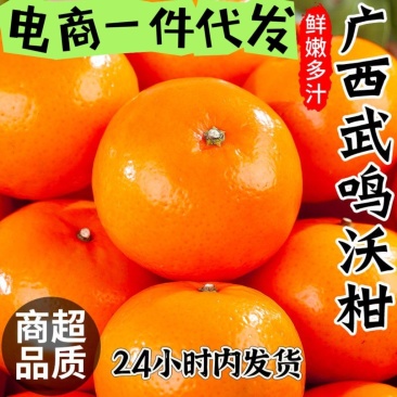 广西武鸣沃柑新鲜采摘产地直发承接电商一件代发包邮包售后