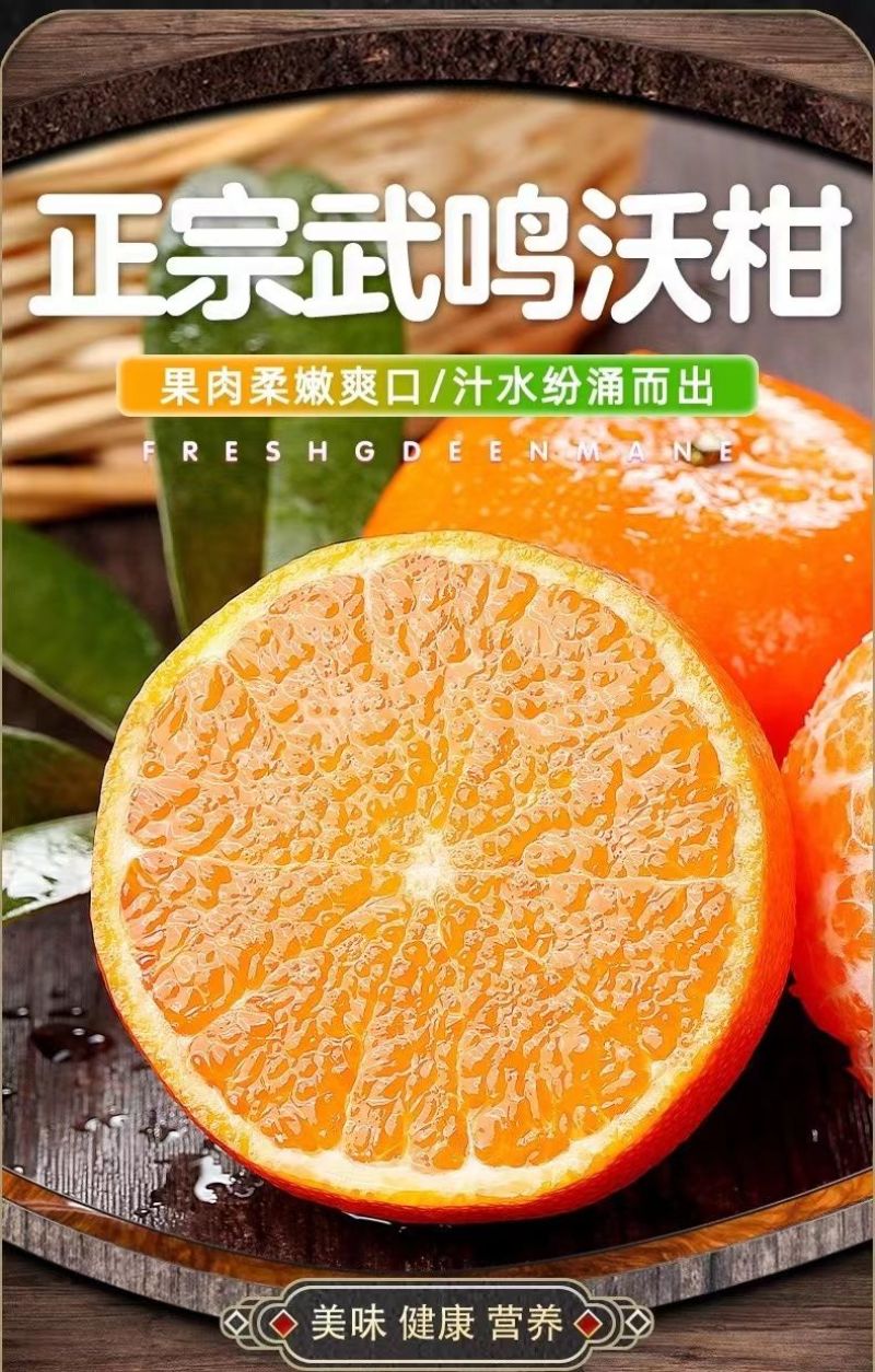 广西武鸣沃柑新鲜采摘产地直发承接电商一件代发包邮包售后
