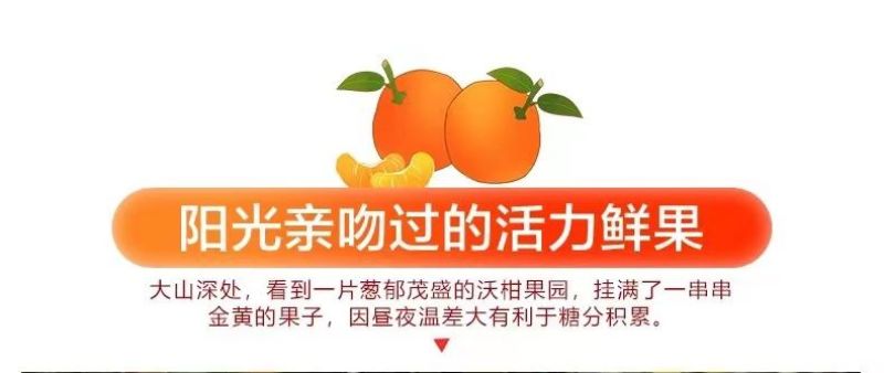 广西武鸣沃柑新鲜采摘产地直发承接电商一件代发包邮包售后