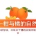 广西武鸣沃柑新鲜采摘产地直发承接电商一件代发包邮包售后