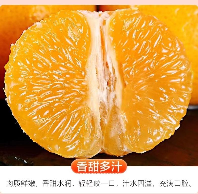 广西武鸣沃柑新鲜采摘产地直发承接电商一件代发包邮包售后