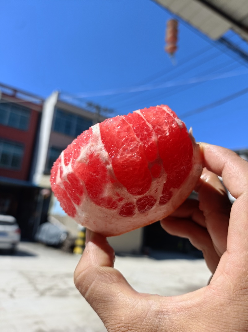 西柚三红葡萄柚。