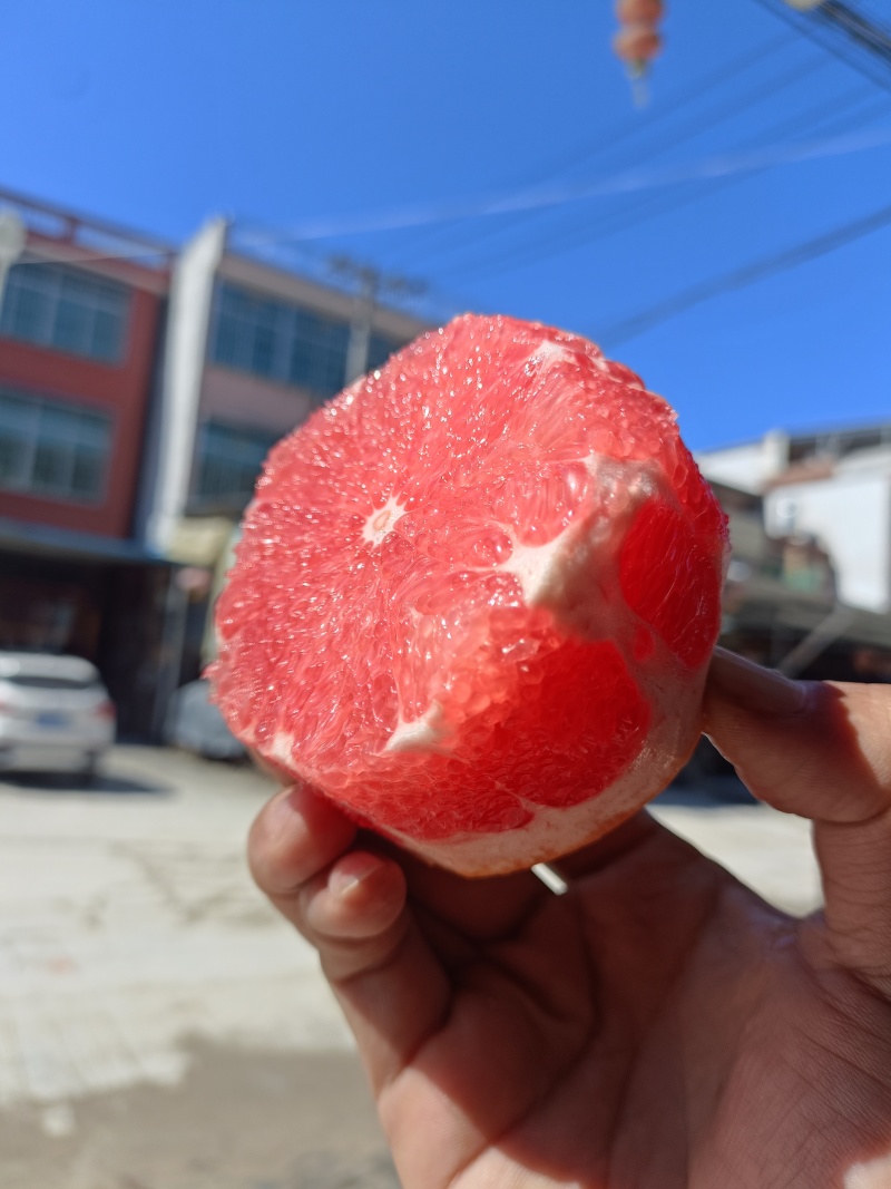 西柚三红葡萄柚。