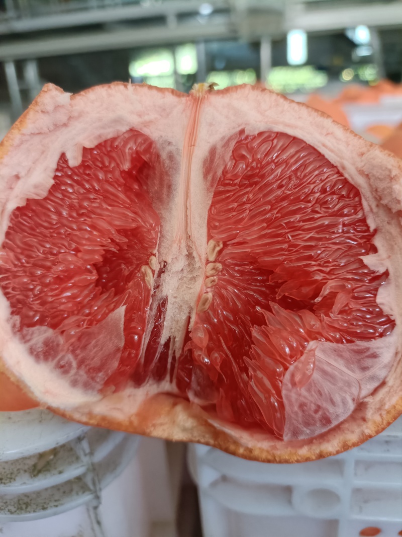 西柚三红葡萄柚。