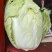 夏阳白菜河南白菜规格齐全，支持全国发货诚信经营，