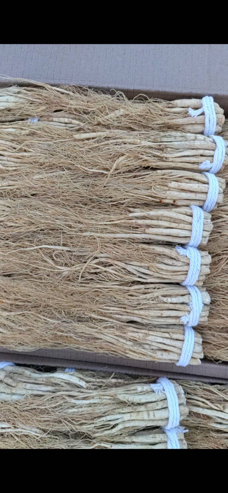 长白山西洋参腿丁须，无硫磺熏，一手货源，可代发货。