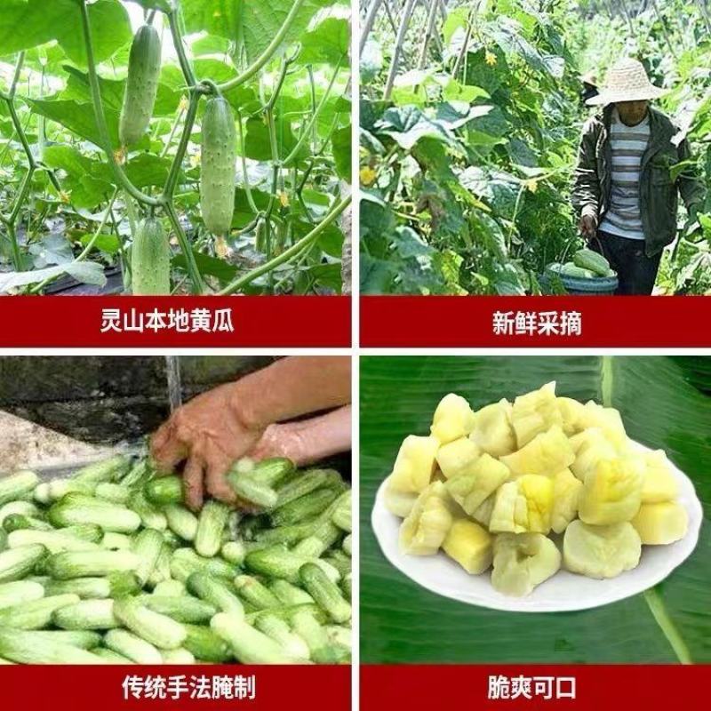 腌制脆口黄瓜皮瓜皮脆皮黄瓜干钦州特产新鲜黄瓜皮博白黄包邮