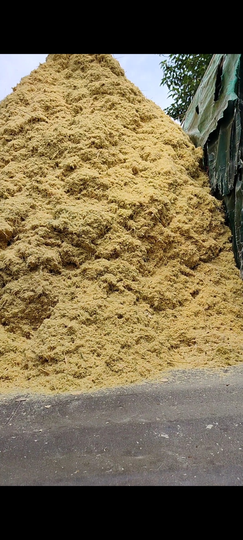 大量竹屑竹粉出售
