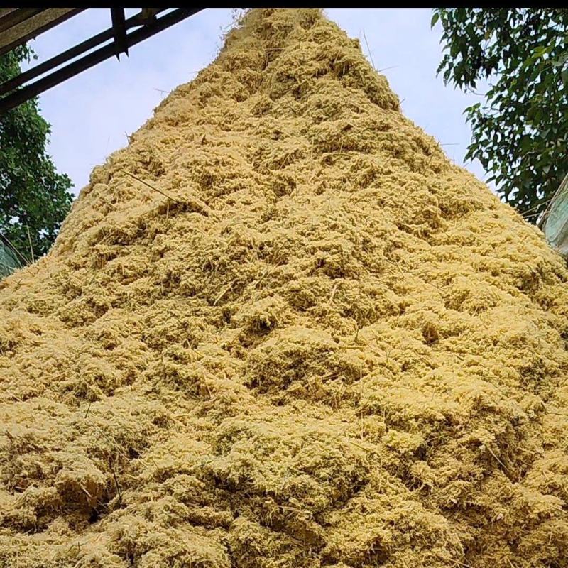 大量竹屑竹粉出售