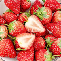 【荐】新鲜甜草莓安徽红颜草莓量大从优欢迎选购