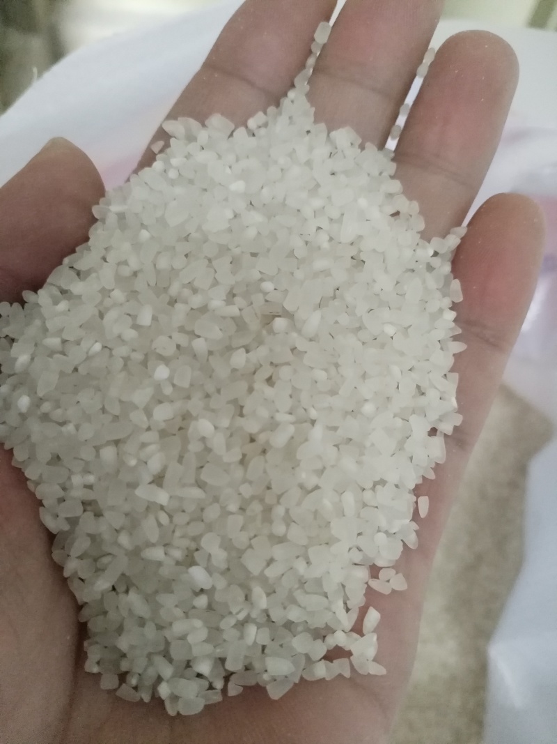 安徽产地碎米酿酒煮粥用米厂家直销来电洽谈常年合作质量保证