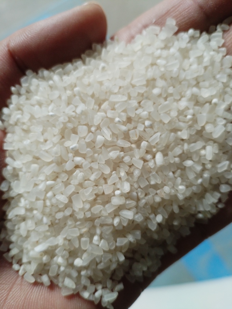 安徽产地碎米酿酒煮粥用米厂家直销来电洽谈常年合作质量保证