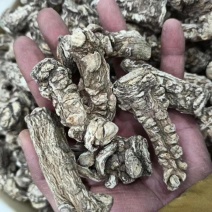 新货当归特级全当归土当归精选包邮可切片大当归整个