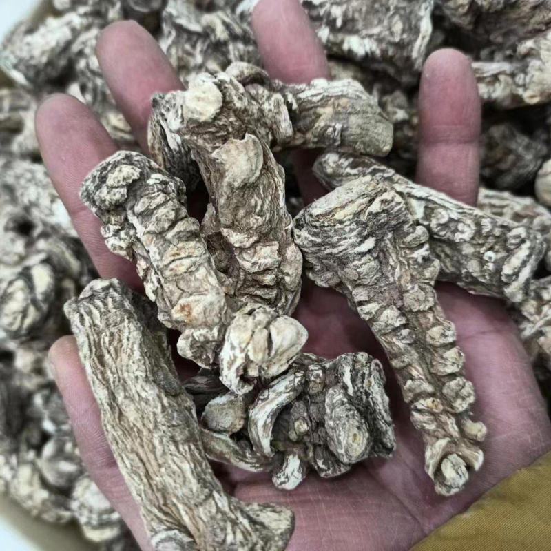新货当归特级全当归土当归精选包邮可切片大当归整个