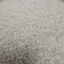 长粒香大米选白米厂家直销货源稳定