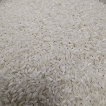 【白米】长粒香色选白米厂里直销来电