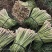 新鲜香茅草：柠檬味道食用香料现摘现卖基地直供欢迎订购