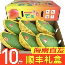 【顺丰】海南大青芒新鲜当季水果金煌水仙品种5/10斤