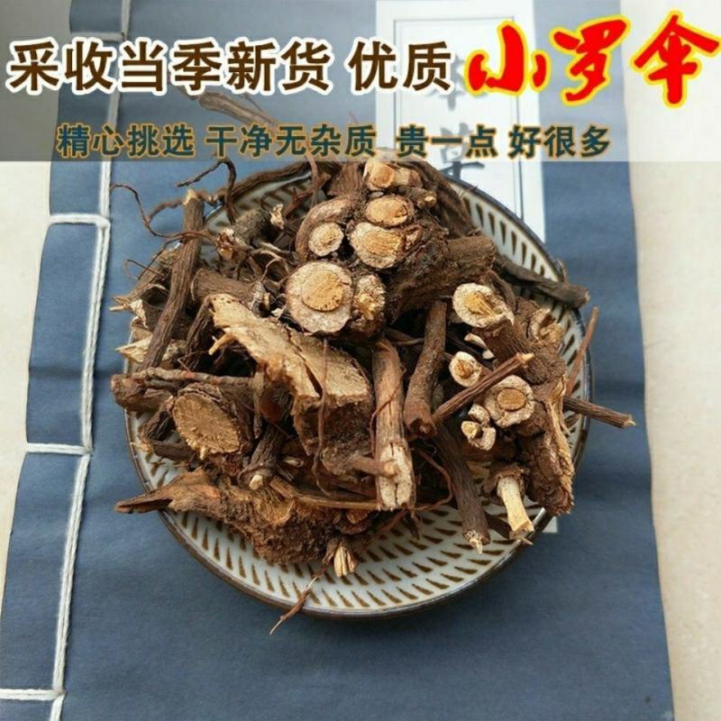 小罗伞中药材小凉伞250g500g1000g小罗伞