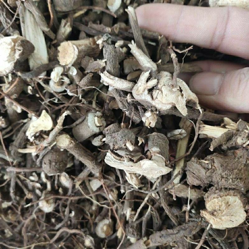 小罗伞中药材小凉伞250g500g1000g小罗伞