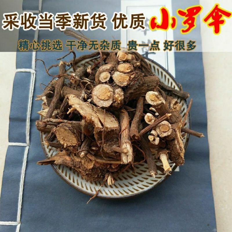 小罗伞中药材小凉伞250g500g1000g小罗伞