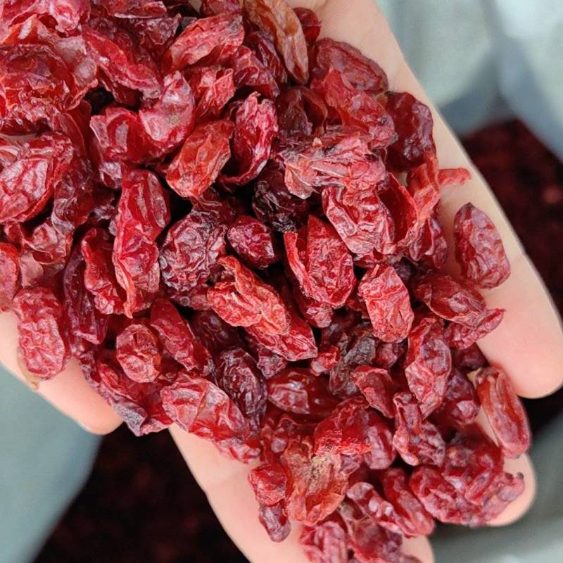 山茱萸批发山萸肉规格齐全产地一手货源量大从优