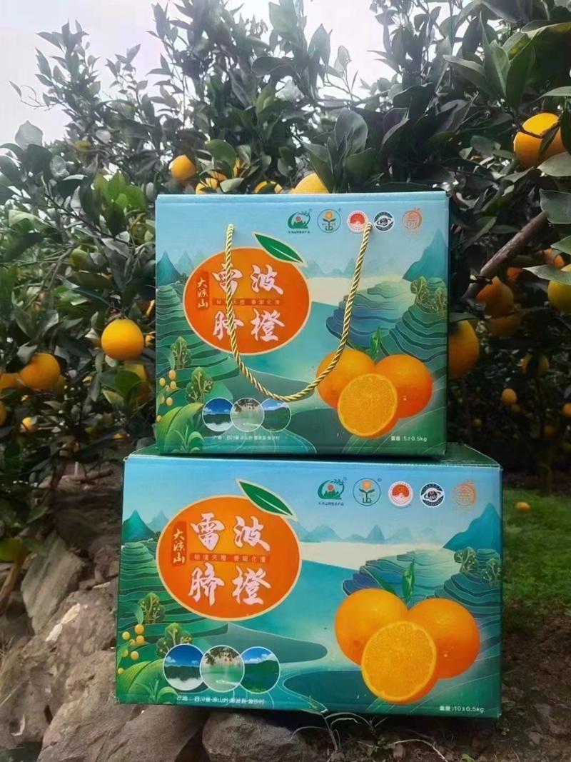 【精选】四川凉山雷波脐橙大量现货新鲜供应，产地直发