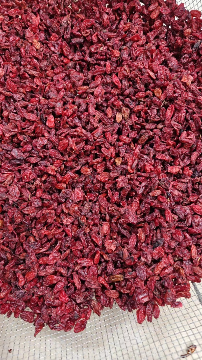 山茱萸批发山萸肉规格齐全产地一手货源量大从优