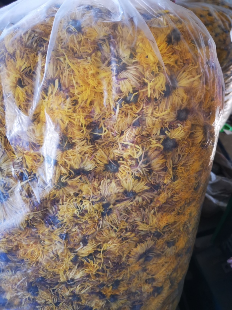黄金菊花（干）