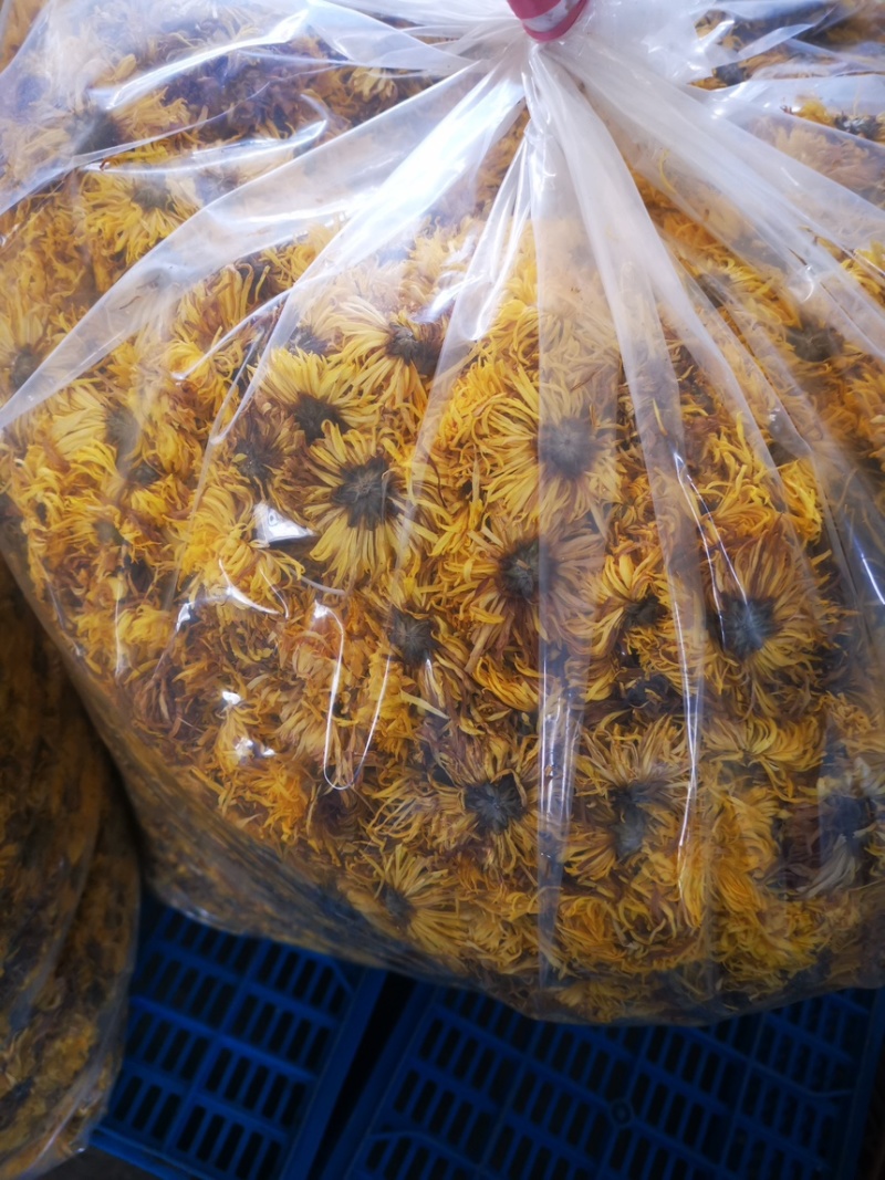 黄金菊花（干）