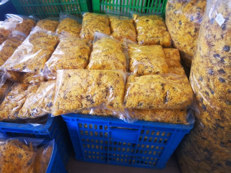 黄金菊花（干）