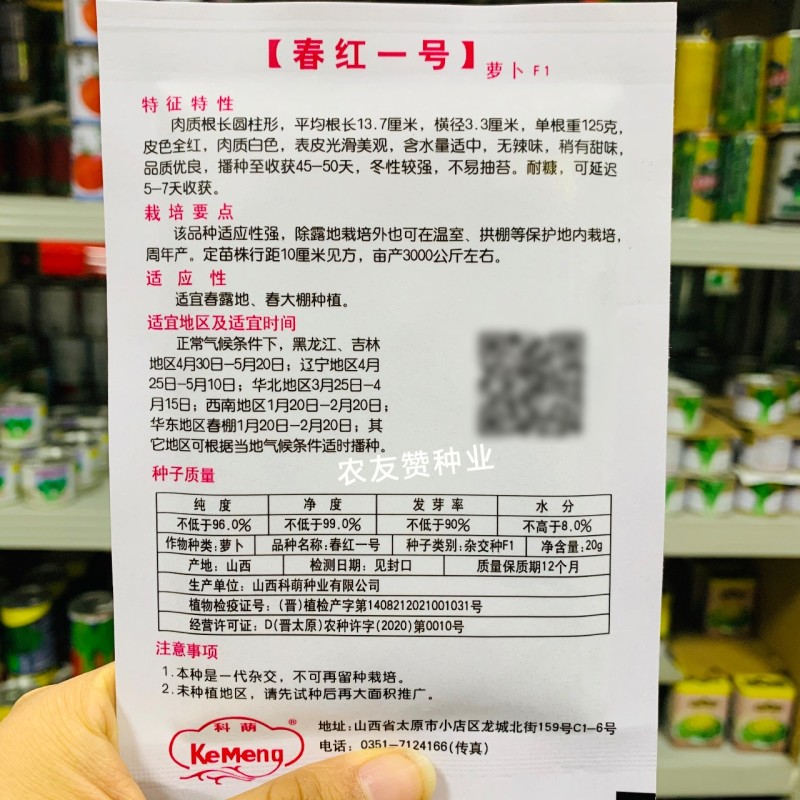 春红一号水萝卜种子无辣味萝卜种子杂交一代春季专用红萝卜