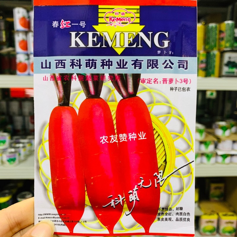 春红一号水萝卜种子无辣味萝卜种子杂交一代春季专用红萝卜