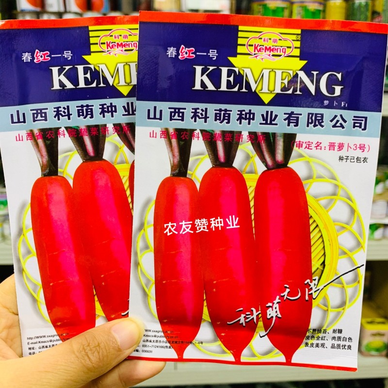 春红一号水萝卜种子无辣味萝卜种子杂交一代春季专用红萝卜