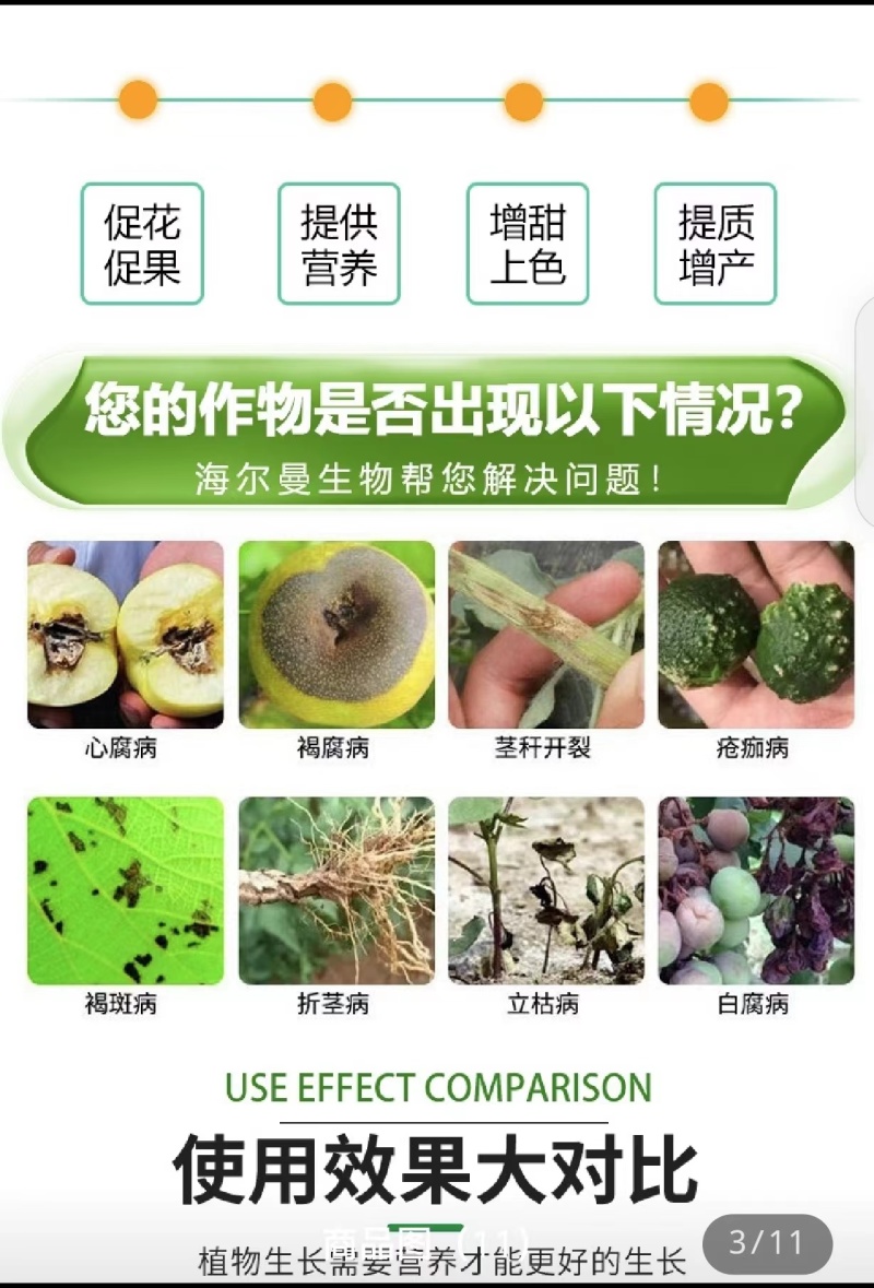 颗粒硼微量元素水溶肥提高坐果保花保果果树蔬菜底肥通用