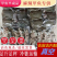 麻辣甲鱼规格半斤到一斤规格代杀量大价优发货