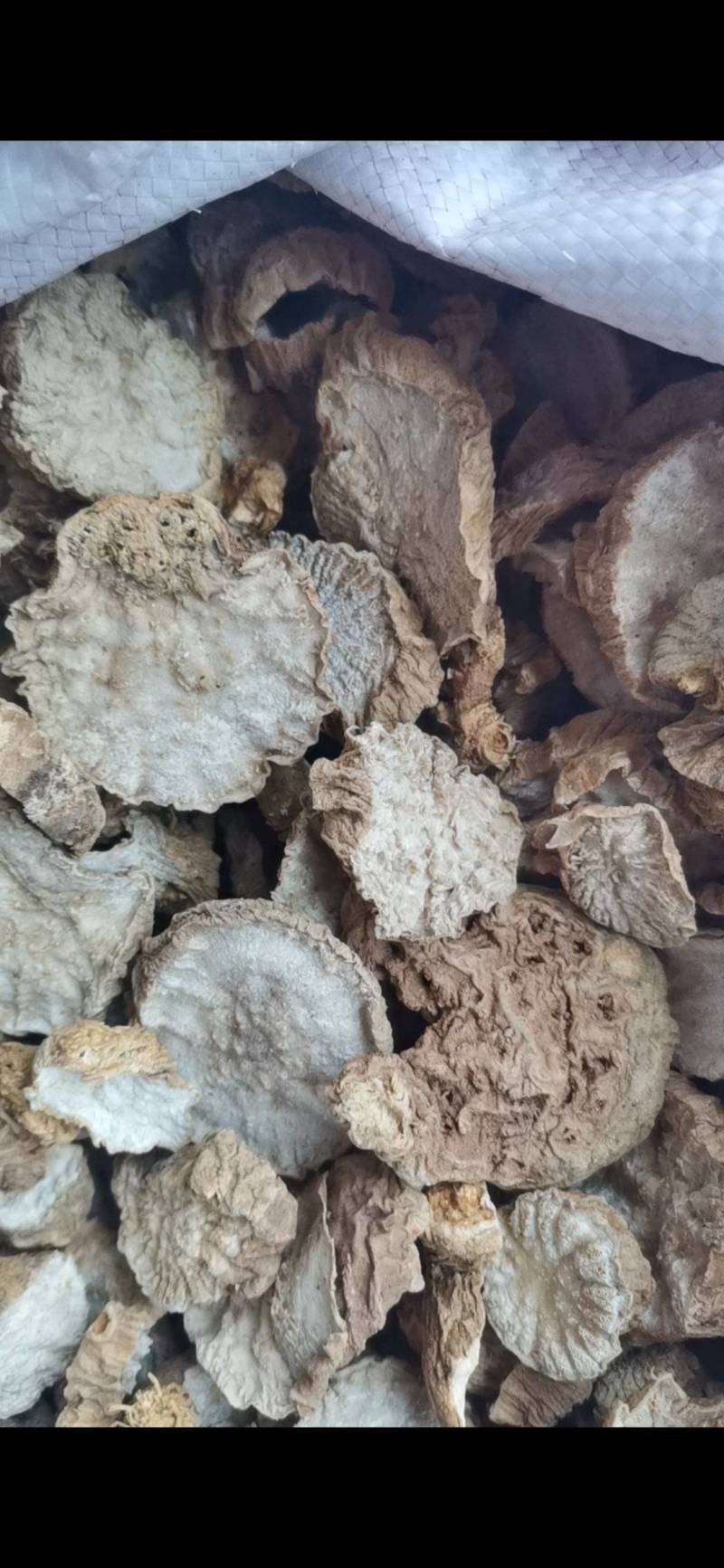 天花粉，瓜蒌根，花粉，纯野生，少量货源。
