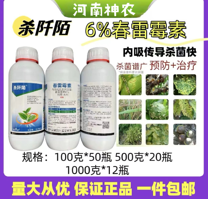 6%春雷霉素细菌性角斑病内吸性杀菌剂预防加治疗