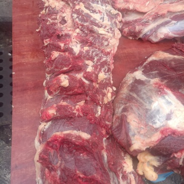 新鲜高原牦牛肉