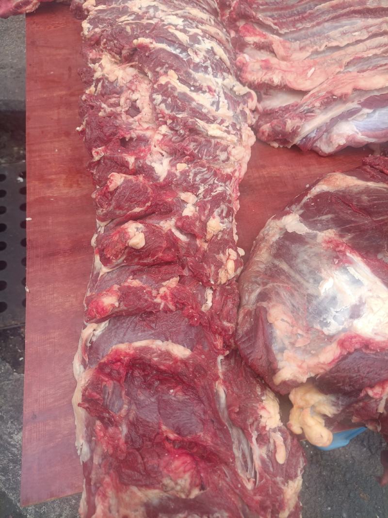 新鲜高原牦牛肉