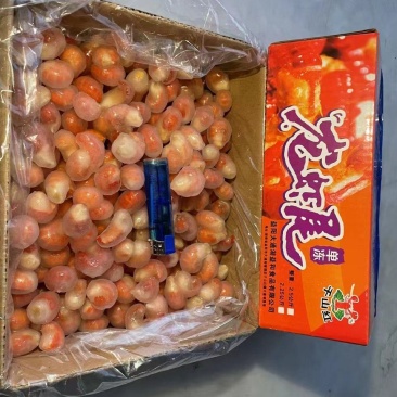 虾尾