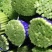 【推荐】江苏邳州红帽蒜薹大量供应冷库保鲜一手货源量大从优