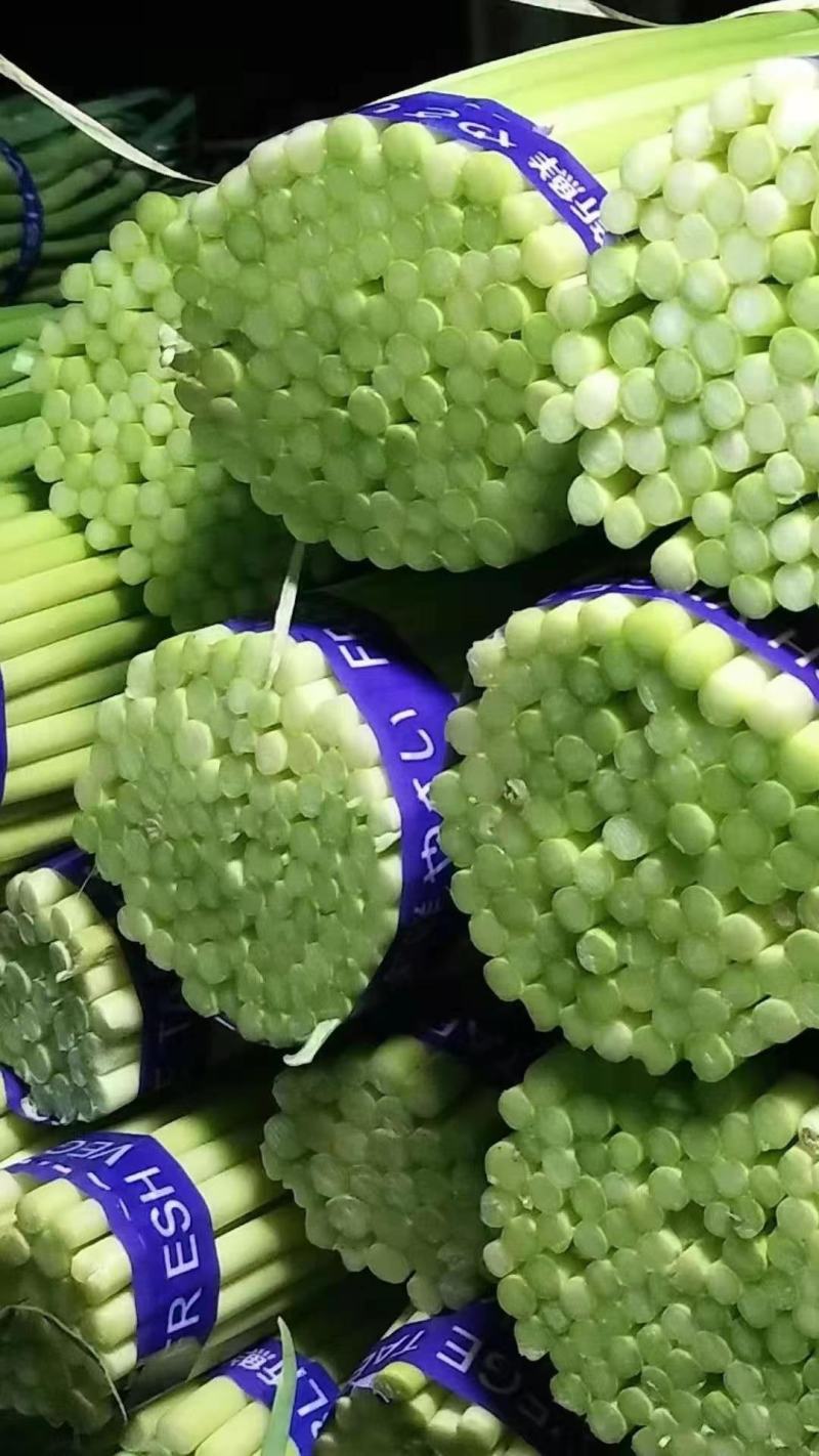 【推荐】江苏邳州红帽蒜薹大量供应冷库保鲜一手货源量大从优