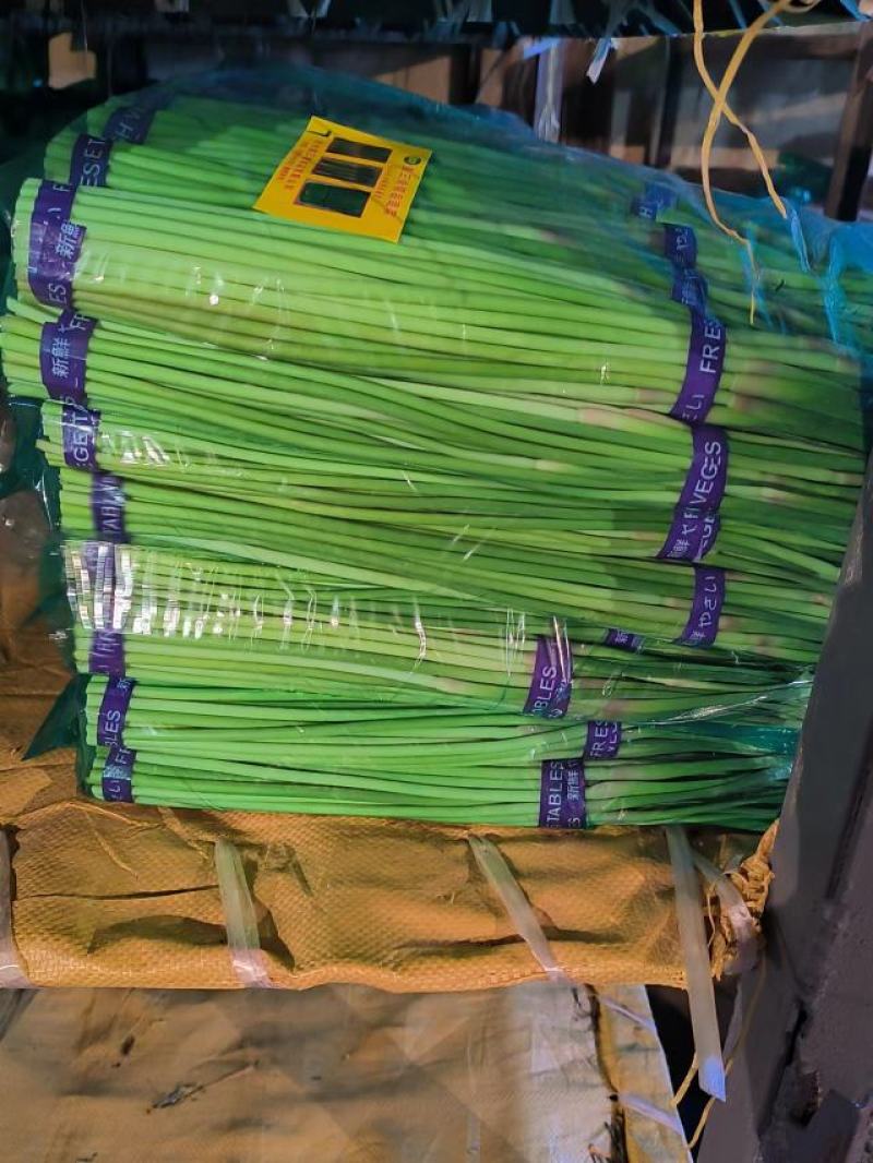 【推荐】江苏邳州红帽蒜薹大量供应冷库保鲜一手货源量大从优
